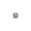 Picture of CANELA Tool 1430900300 Milling 75.0°, Face Mill Cutter 3.00 Diameter Shell Arbor 1.0000