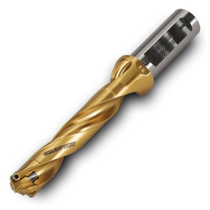 Picture of INGERSOLL TD2500075JGR00 0.9843 (25.0 mm)-1.0197 (25.9 mm) GoldTwist Body