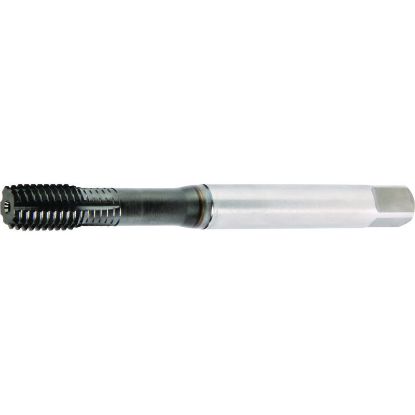 Picture of WIDIA/KENNAMETAL GT235013 M6-1.00MM Roll Form Mod Bottom 2.0P-3.0P HSSE-Powder Metal TiN