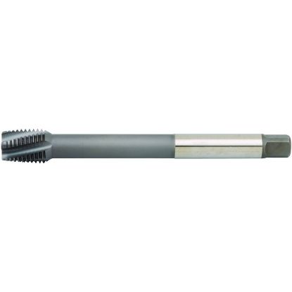 Picture of WIDIA/KENNAMETAL GT205125 M33-3.50MM Cut Spiral Flute Plug 3.0P-5.5P HSSE-Powder Metal TiCN