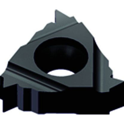 Picture of ZCC RT16.01N-19BSPTB YBG202 Insert Iso Thread Full Profile TiAlN 19.00TPI BSPT